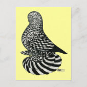 Carte Postale Pigeon mousseux mousseux (Devant)