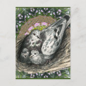 Carte Postale Pigeon Nest (Devant)