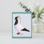 Carte Postale Pigeon noir 1973 (Debout devant)