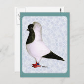 Carte Postale Pigeon noir 1973 (Devant / Derrière)