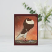 Carte Postale Pigeon rouge Norwich (Debout devant)