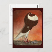 Carte Postale Pigeon rouge Norwich (Devant / Derrière)