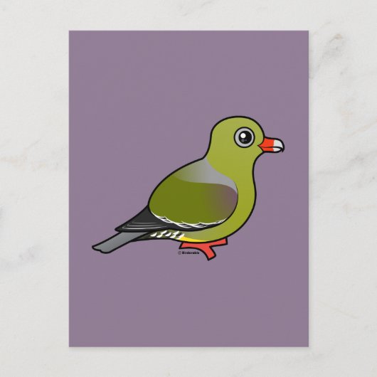 Carte Postale Pigeon vert d'Afrique (Devant)