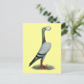 Carte Postale Pigeon Voyageur 2012 (Debout devant)
