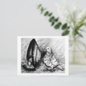 Carte Postale Pigeons à rouleaux (Debout devant)