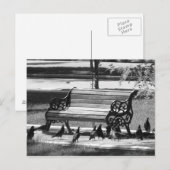 Carte Postale Pigeons au banc de Empty Park (Devant / Derrière)