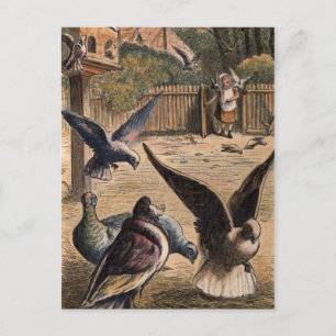 Carte Postale Pigeons d'animaux de compagnie saluent la jeune fi