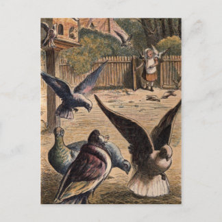 Carte Postale Pigeons d'animaux de compagnie saluent la jeune fi