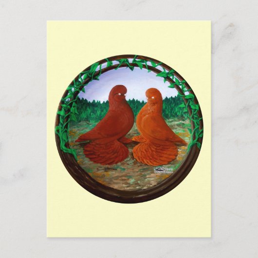 Carte Postale Pigeons de cordonnier bouffés2 (Devant)