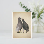 Carte Postale Pigeons romantiques (Debout devant)