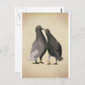 Carte Postale Pigeons romantiques (Devant / Derrière)