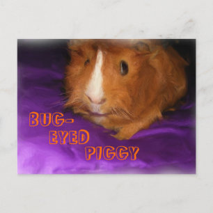 Carte postale PIGGY À OEIL BOGUE
