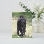 Carte Postale Piggy Back Maman (Debout devant)