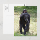 Carte Postale Piggy Back Maman (Devant / Derrière)