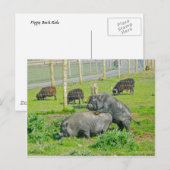 Carte Postale Piggy Back Ride (Devant / Derrière)