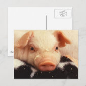 Carte Postale Piglet (Devant / Derrière)