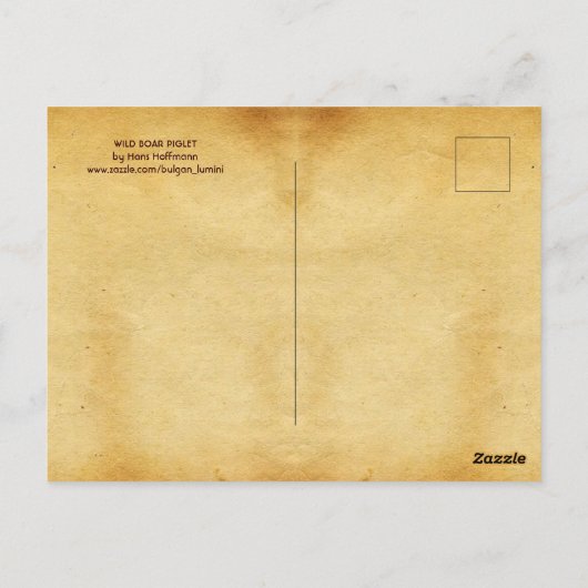 Carte Postale PIGLET DE BARRE SAUVAGE Dessin animal antique Parc (Dos)