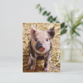 Carte postale PIglet mignonne (Debout devant)