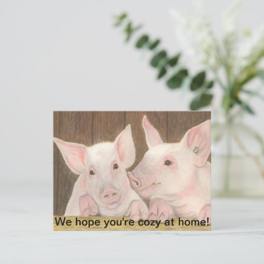 Carte Postale Piglets (Debout devant)