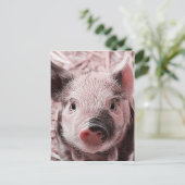 Carte Postale pignon doux rose (Debout devant)