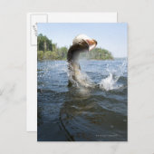 Carte Postale Pike du Nord (Devant / Derrière)