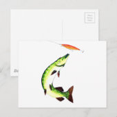 Carte postale Pike Fishing (Devant / Derrière)