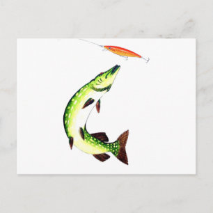 Carte postale Pike Fishing