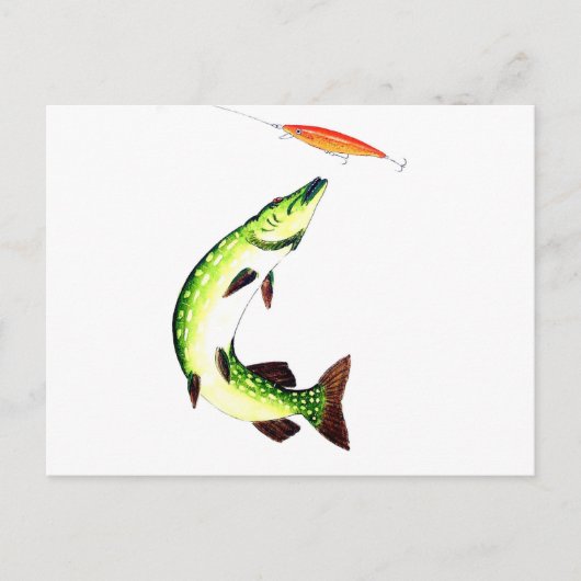 Carte postale Pike Fishing (Devant)