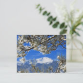 Carte Postale Pikes Peak Hiver Neige Couverte Art Fractal (Debout devant)
