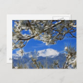 Carte Postale Pikes Peak Neige hiver Couverte Art Fractal (Devant / Derrière)