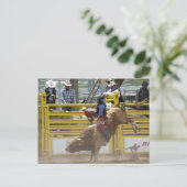 Carte Postale Pikes Peak ou rodéo Bust (Debout devant)