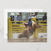 Carte Postale Pikes Peak ou rodéo Bust (Devant / Derrière)