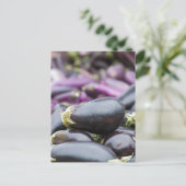 Carte Postale Pile d'aubergine (Debout devant)
