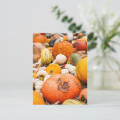 Carte Postale Pile D'Citrouilles Et Squash (Debout devant)