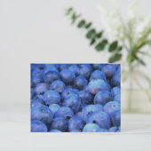 Carte Postale pile de bleuets (Debout devant)