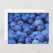 Carte Postale pile de bleuets (Devant / Derrière)