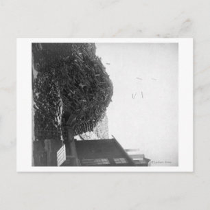 Carte Postale Pile de bois à l'extérieur du moulin de De Smet