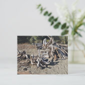 Carte Postale Pile de bois de chauffe (Debout devant)