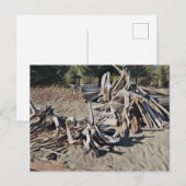 Carte Postale Pile de bois de chauffe (Devant / Derrière)