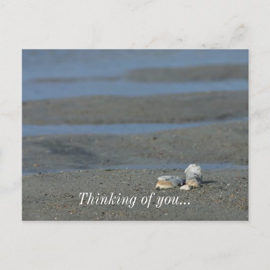 Carte Postale Pile de coquillage (Devant)