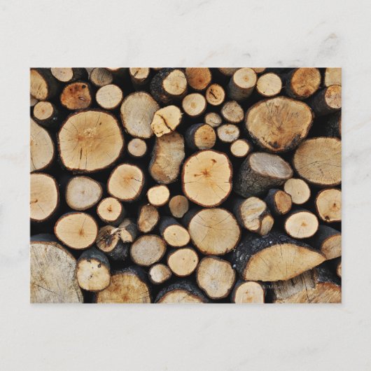 Carte Postale Pile de journaux d'arborescence (Devant)