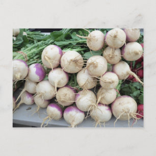 Carte Postale Pile de navets