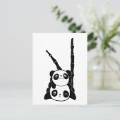 Carte Postale Pile de Pandas Card (Debout devant)