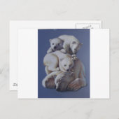 Carte Postale Pile d'ours polaire (Devant / Derrière)