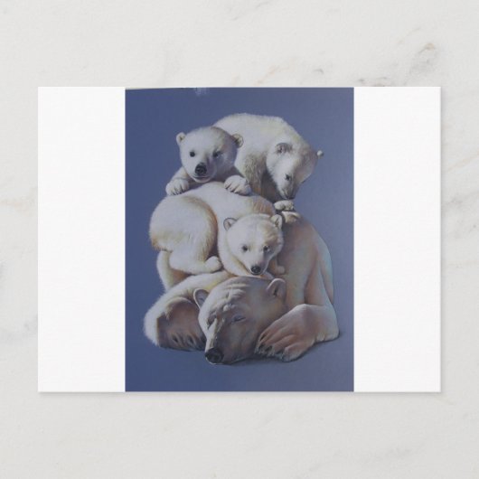 Carte Postale Pile d'ours polaire (Devant)