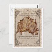 Carte postale Pile of Sticks contre nature (Devant / Derrière)