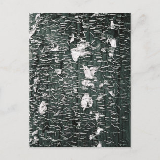 Carte Postale Piles