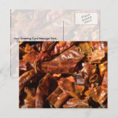 Carte Postale Piliers entiers (Devant / Derrière)