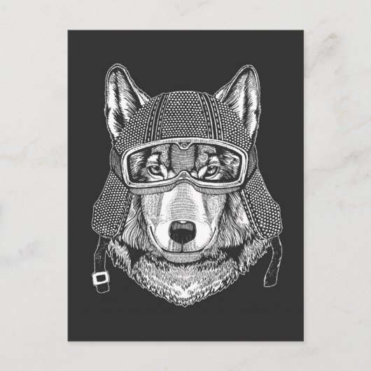 Carte Postale Pilote de motocyclette Wolf Dog (Devant)