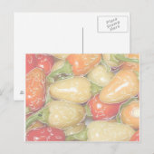 Carte Postale Piments chauds, arrière - plan passé avec traçage (Devant / Derrière)